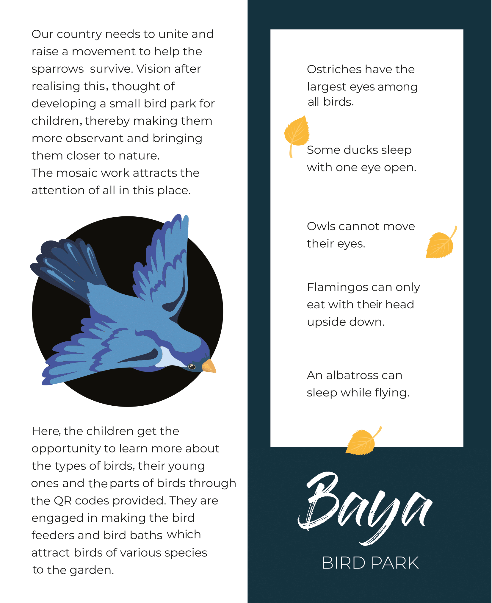 Final Brochure created by Nisha 17-02-2022-16